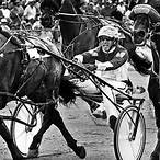 bet harness